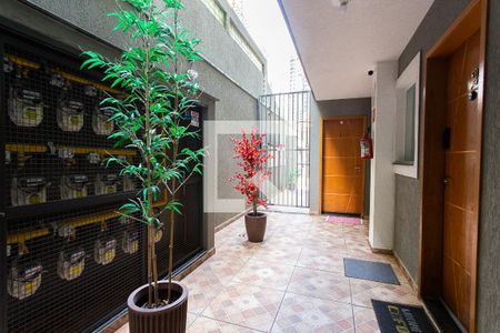 Apartamento para alugar com 50m², 2 quartos e sem vagaÁrea Comum