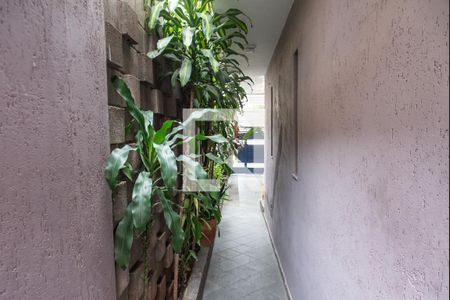 Casa para alugar com 181m², 3 quartos e 4 vagas Casa para alugar com 181m², 3 quartos e 4 vagasCorredor