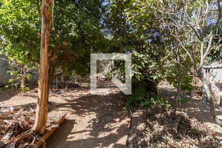 Casa para alugar com 506m², 3 quartos e 2 vagasQuintal