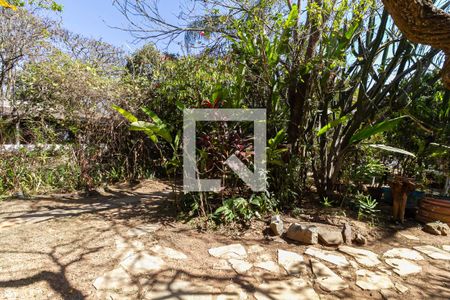 Casa para alugar com 506m², 3 quartos e 2 vagasQuintal