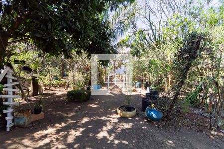 Casa para alugar com 506m², 3 quartos e 2 vagasQuintal