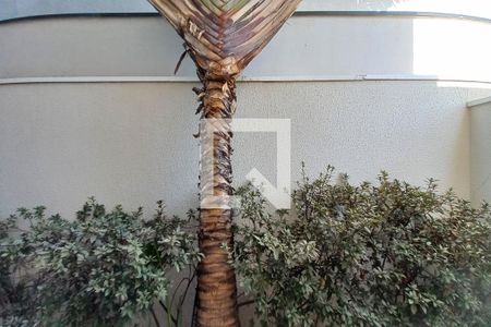 Casa de condomínio à venda com 463m², 5 quartos e 4 vagasVista da sala de TV