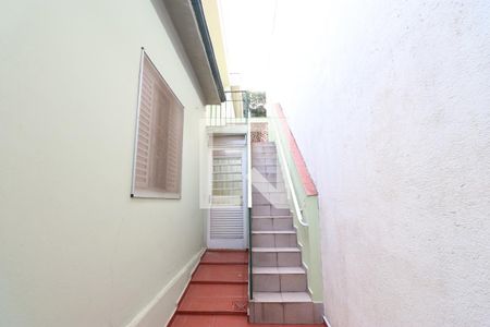 Casa para alugar com 159m², 4 quartos e 2 vagasQuintal