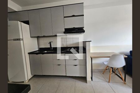 Cozinha de apartamento para alugar com 1 quarto, 28m² em Jardim Caravelas, São Paulo