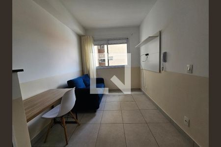 Sala de apartamento para alugar com 1 quarto, 28m² em Jardim Caravelas, São Paulo