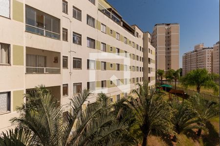 Apartamento para alugar com 67m², 3 quartos e 1 vagaVista do Quarto 1
