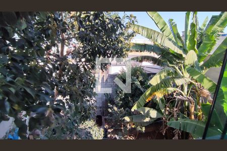 Casa para alugar com 500m², 6 quartos e 4 vagasQuintal 