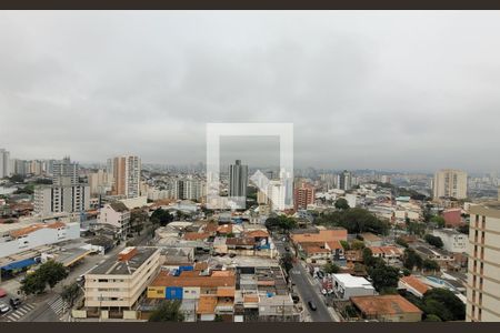 Apartamento à venda com 194m², 3 quartos e 5 vagasVista