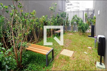 Studio para alugar com 32m², 0 quarto e sem vagaEspaço Pet