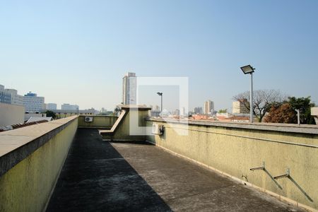 Casa para alugar com 255m², 4 quartos e 8 vagasTerraço