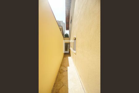 Casa à venda com 251m², 3 quartos e 2 vagas Casa à venda com 251m², 3 quartos e 2 vagasCorredor lateral