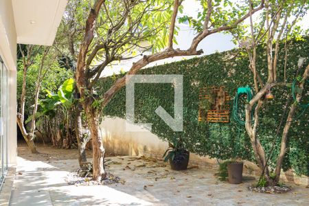 Casa para alugar com 1290m², 6 quartos e 7 vagasQuintal