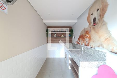 Apartamento para alugar com 31m², 1 quarto e sem vagaÁrea comum - pet care