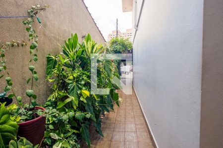 Casa à venda com 253m², 3 quartos e 2 vagas
