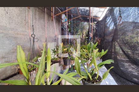 Casa para alugar com 250m², 6 quartos e 3 vagas Casa para alugar com 250m², 6 quartos e 3 vagasOrquidário