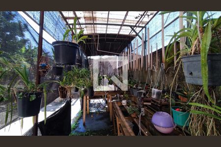 Casa para alugar com 250m², 6 quartos e 3 vagas Casa para alugar com 250m², 6 quartos e 3 vagasOrquidário