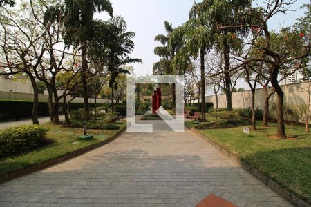 Apartamento para alugar com 70m², 3 quartos e 2 vagasÁrea Comum