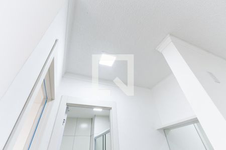 Lavatório de apartamento para alugar com 2 quartos, 35m² em Várzea da Barra Funda, São Paulo