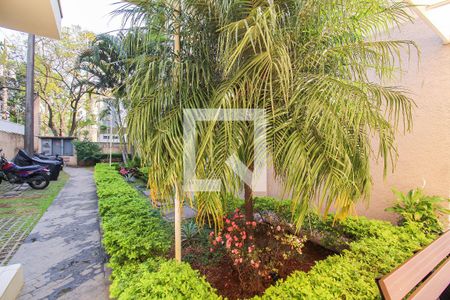 Apartamento à venda com 50m², 2 quartos e 1 vagaÁrea externa