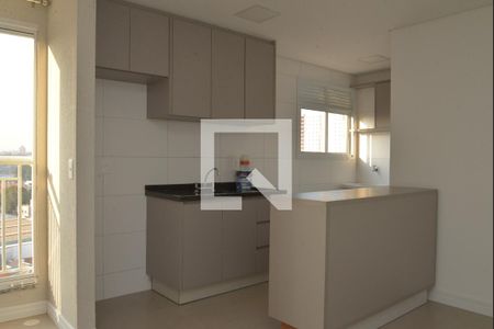Cozinha - Armários de apartamento para alugar com 2 quartos, 54m² em Casa Branca, Santo André