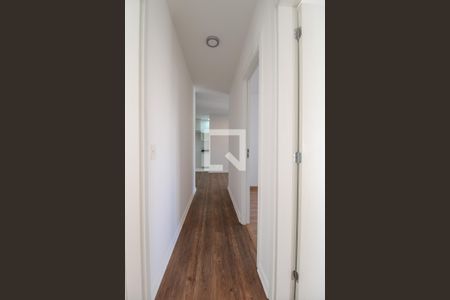 Corredor de apartamento para alugar com 3 quartos, 76m² em Taquaral, Campinas