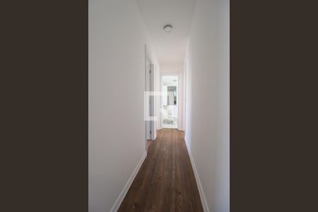 Corredor de apartamento para alugar com 3 quartos, 76m² em Taquaral, Campinas