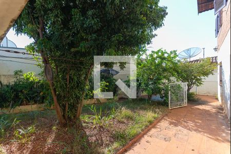 Quintal de casa à venda com 5 quartos, 340m² em Jardim Paraíso, Campinas
