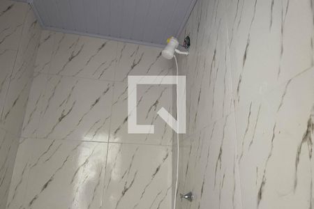 Banheiro de apartamento para alugar com 2 quartos, 45m² em Jardim Vinte E Cinco de Agosto, Duque de Caxias