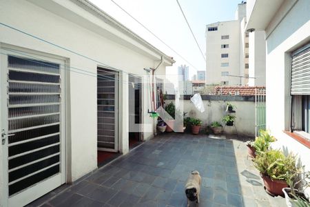 Casa à venda com 300m², 3 quartos e 2 vagas Casa à venda com 300m², 3 quartos e 2 vagasQuintal