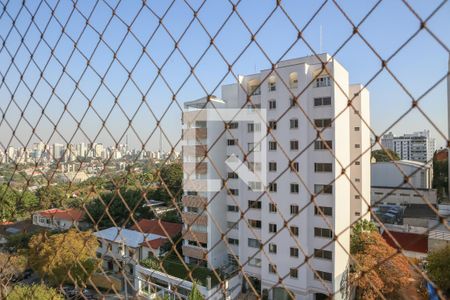 Apartamento para alugar com 115m², 3 quartos e 3 vagasVista do Varanda do Quarto 3
