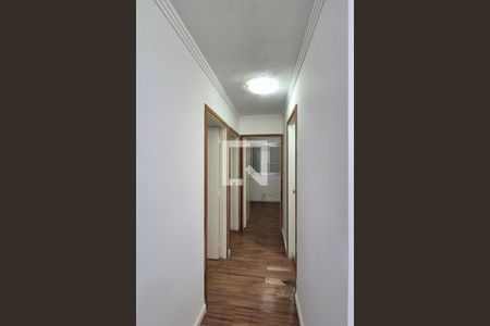 Corredor  de apartamento à venda com 3 quartos, 60m² em Jardim Dom Vieira, Campinas