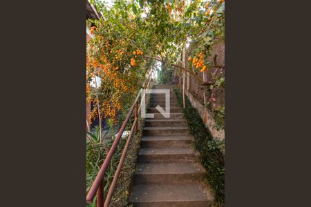 Casa para alugar com 640m², 8 quartos e 4 vagasQuintal