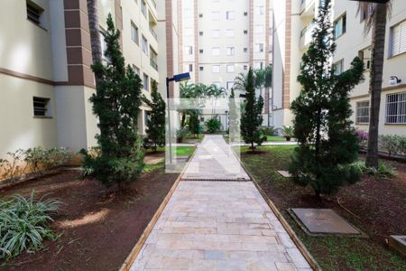 Área comum de apartamento para alugar com 2 quartos, 44m² em Jardim Santa Teresinha, São Paulo