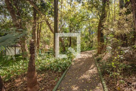 Apartamento para alugar com 133m², 3 quartos e 2 vagasBosque 