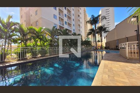 Apartamento para alugar com 60m², 2 quartos e 1 vagaÁrea comum - Piscina