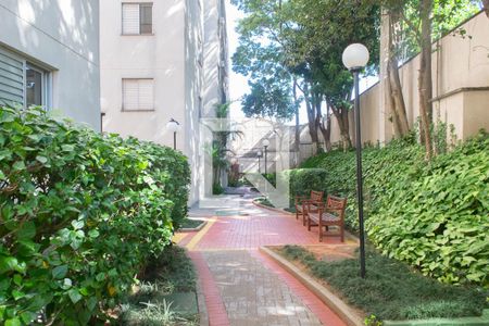 Apartamento à venda com 50m², 2 quartos e 1 vagaÁrea comum