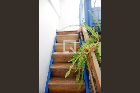 Casa de condomínio à venda com 90m², 2 quartos e 2 vagasDetalhe - Quintal e Área de Serviço