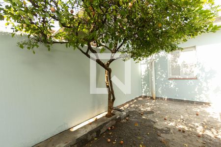 Casa para alugar com 300m², 4 quartos e 4 vagasQuintal