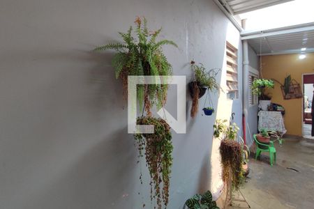 Casa à venda com 250m², 3 quartos e 2 vagas Casa à venda com 250m², 3 quartos e 2 vagasQuintal