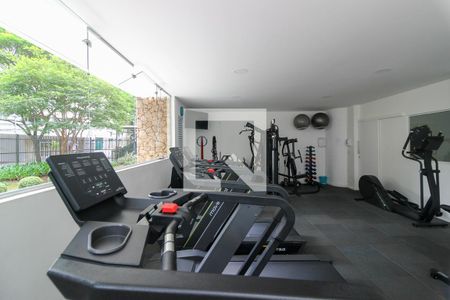 Apartamento à venda com 243m², 3 quartos e 2 vagasÁrea comum - Academia