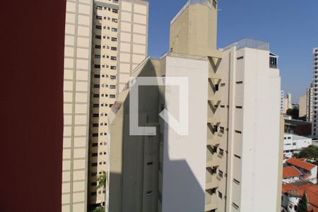 Apartamento à venda com 228m², 3 quartos e 2 vagasVista Cozinha