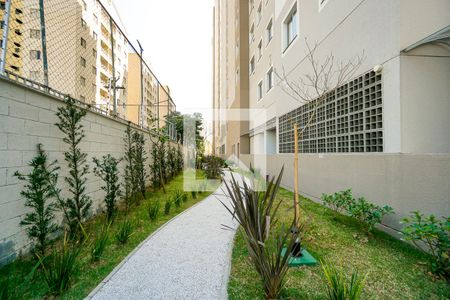 Apartamento à venda com 34m², 1 quarto e sem vaga Apartamento à venda com 34m², 1 quarto e sem vagaPista de cooper