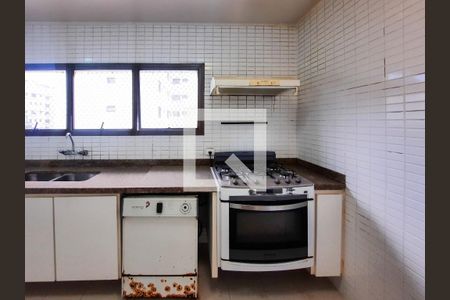 Apartamento à venda com 275m², 3 quartos e 1 vagaCozinha