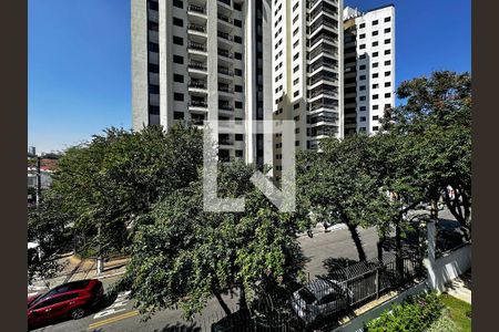 Apartamento à venda com 237m², 3 quartos e 3 vagasVista