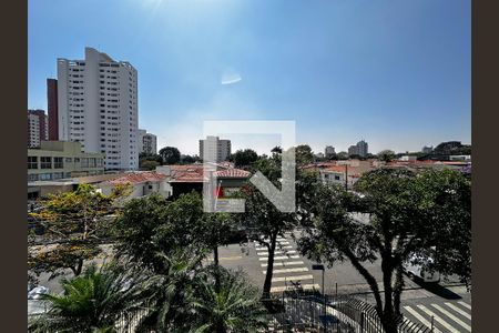Apartamento à venda com 237m², 3 quartos e 3 vagasVista