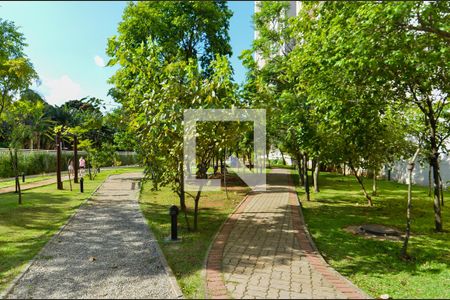 Apartamento à venda com 115m², 3 quartos e 2 vagasBosque Privativo