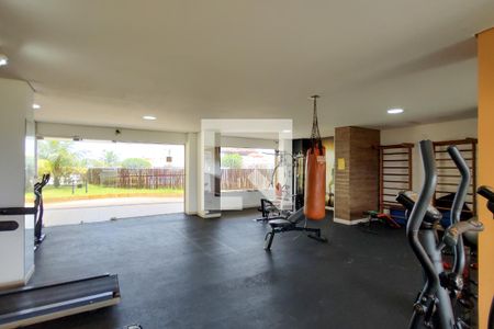 Apartamento para alugar com 70m², 2 quartos e 1 vaga Apartamento para alugar com 70m², 2 quartos e 1 vagaAcademia