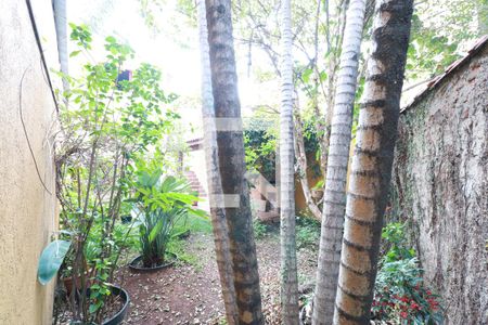 Casa para alugar com 150m², 3 quartos e sem vagaJardim