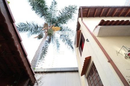 Casa para alugar com 150m², 3 quartos e sem vagaQuintal