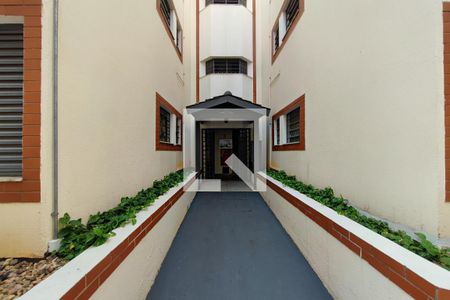 Fachada do bloco de apartamento para alugar com 3 quartos, 88m² em Jardim García, Campinas